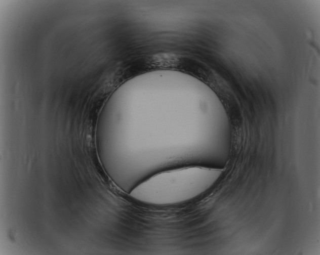 X0000093430553200710120920