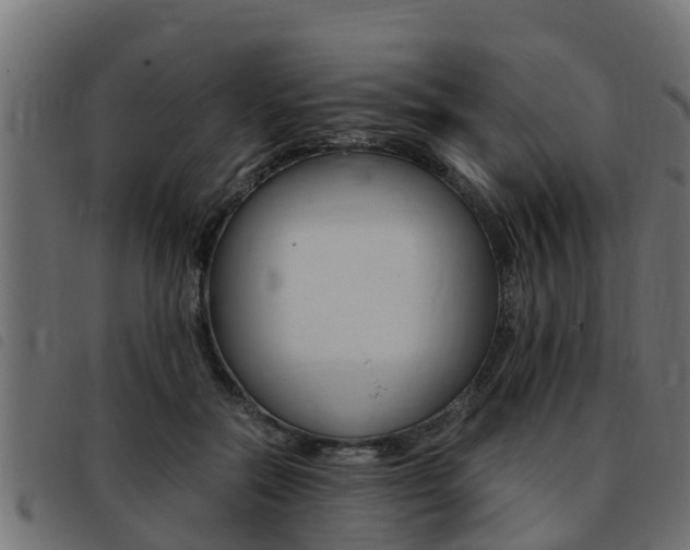 X0000093430554200710120920