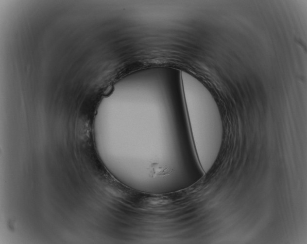 X0000093430555200710120920