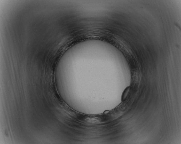 X0000093430557200710120920