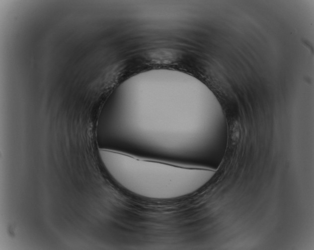 X0000093430559200710120920