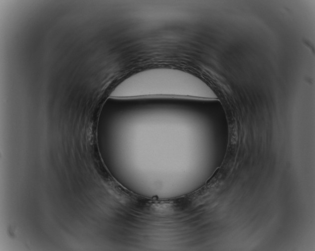 X0000093430560200710120920