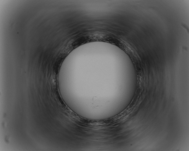 X0000093430561200710120920