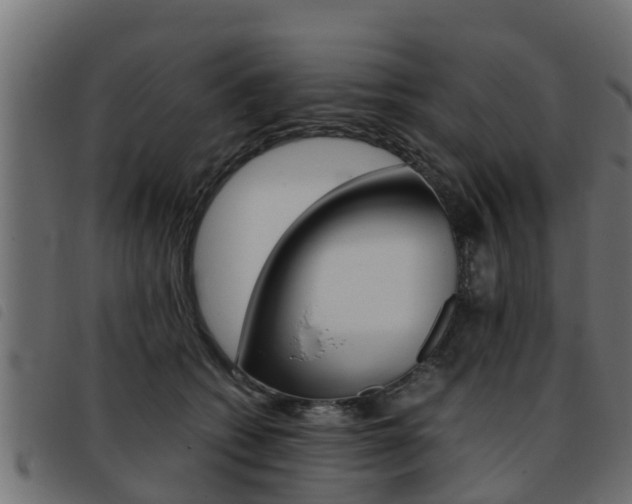 X0000093430562200710120920