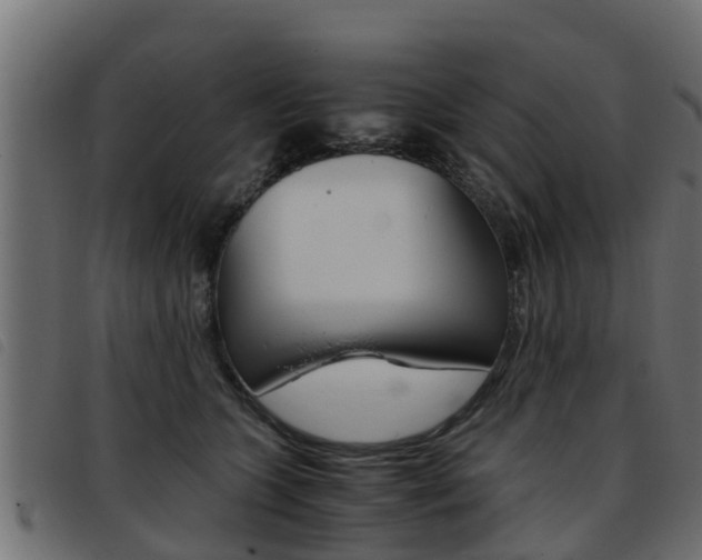 X0000093430563200710120920