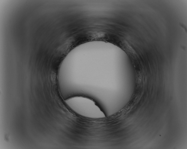 X0000093430565200710120920
