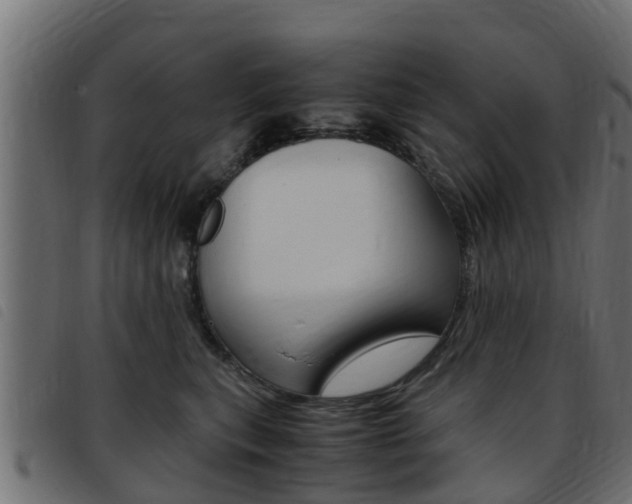 X0000093430567200710120920