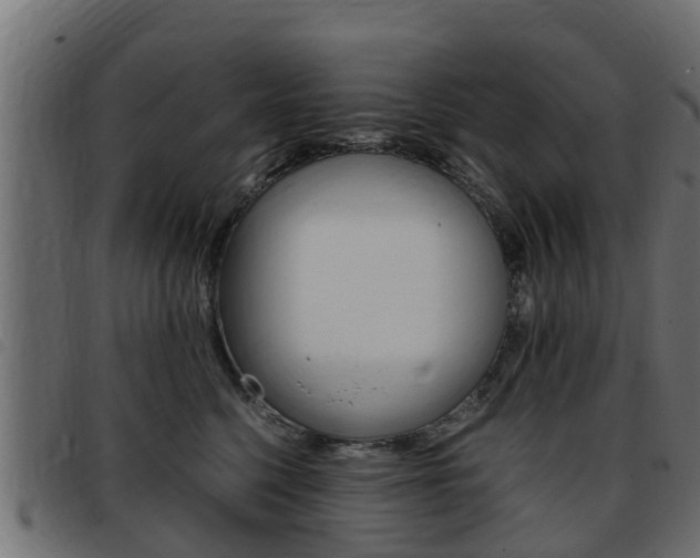 X0000093430568200710120920