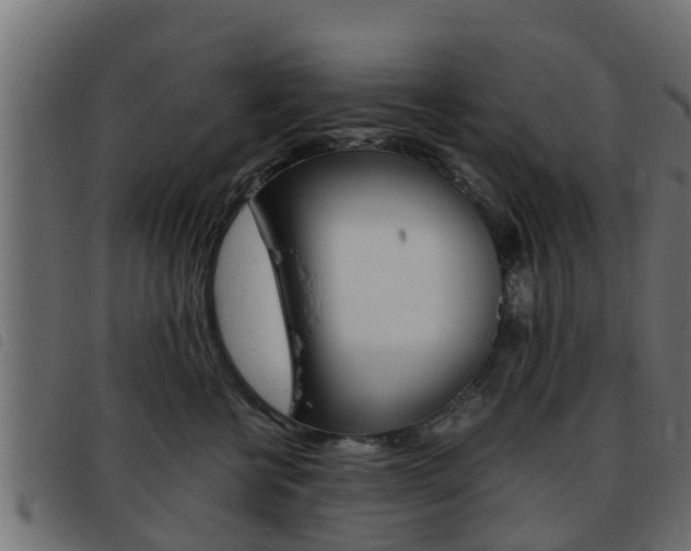 X0000093430570200710120920