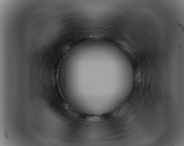 X0000093430572200710120920