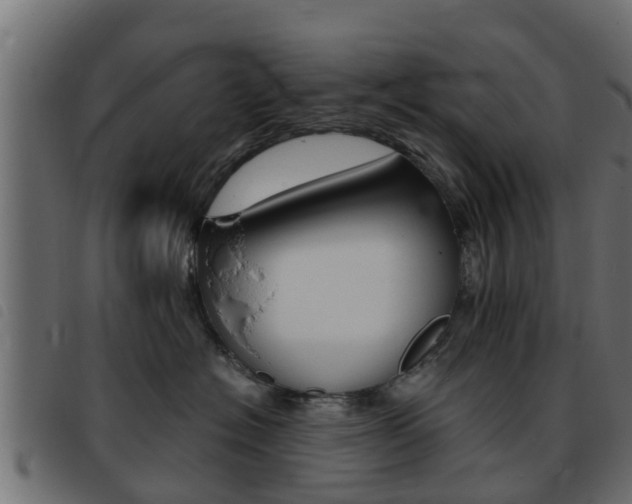 X0000093430574200710120920