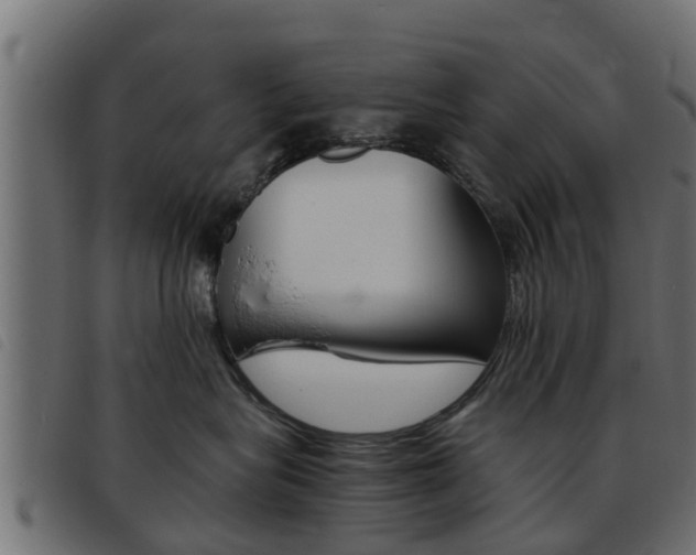 X0000093430575200710120920