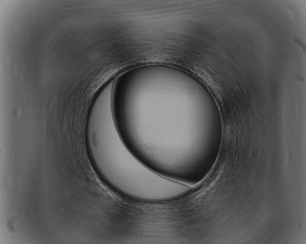 X0000093430577200710120919