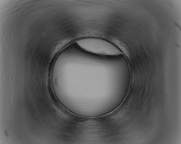 X0000093430578200710120919