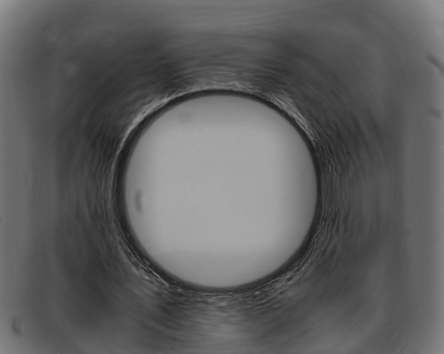 X0000093430579200710120919