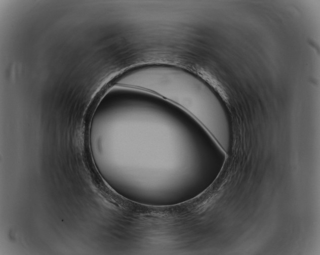 X0000093430580200710120919