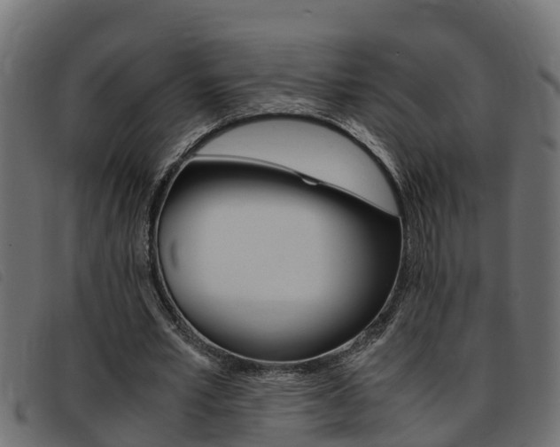 X0000093430581200710120919