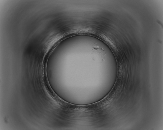 X0000093430582200710120919