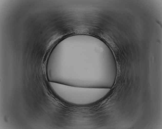 X0000093430583200710120919