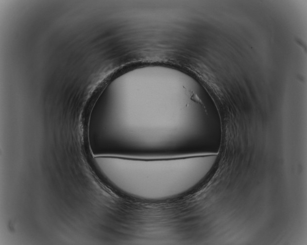 X0000093430584200710120919