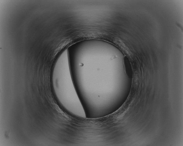 X0000093430585200710120919