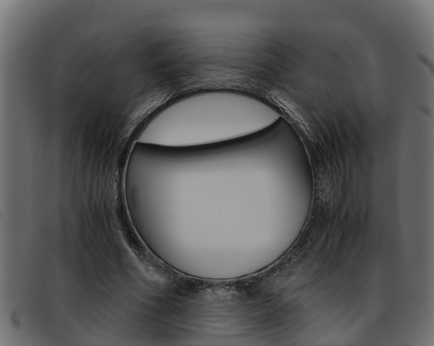 X0000093430586200710120919