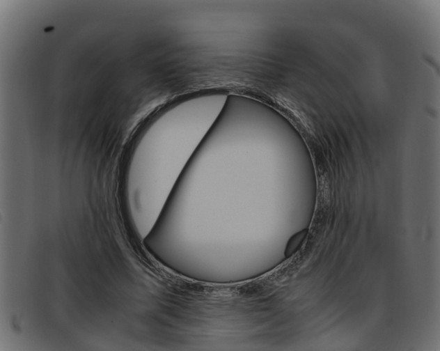 X0000093430587200710120919
