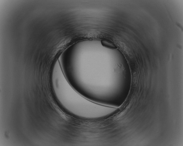 X0000093430589200710120919