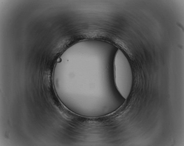 X0000093430590200710120919