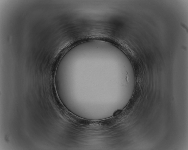 X0000093430591200710120919