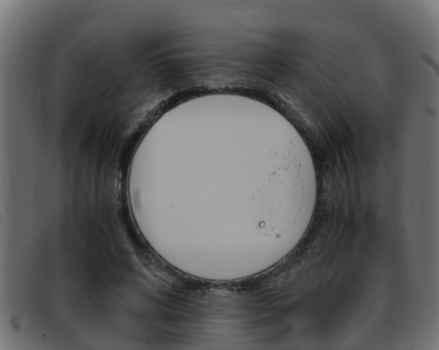 X0000093430592200710120919