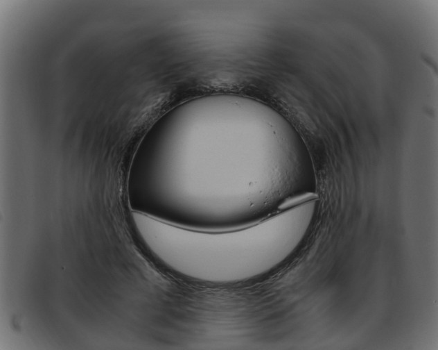 X0000093430593200710120919