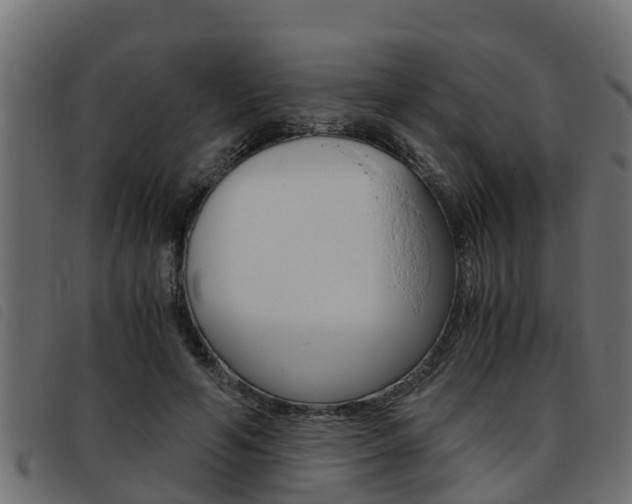 X0000093430594200710120919