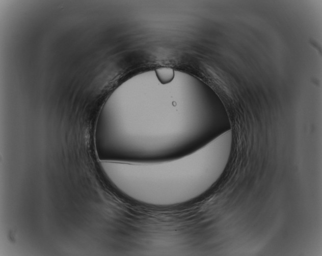 X0000093430595200710120919