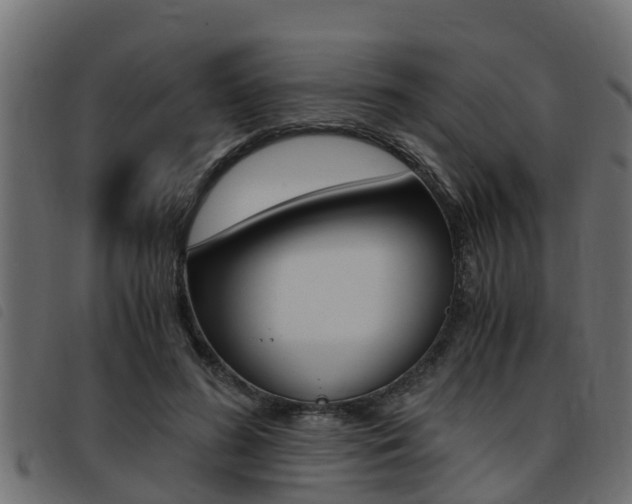 X0000093430596200710120919