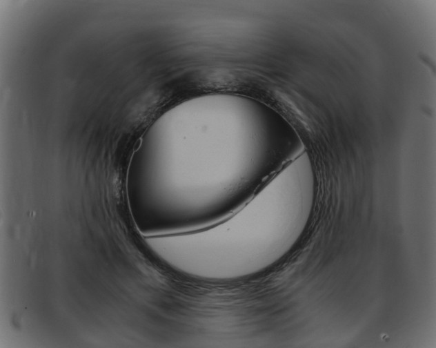 X0000093430597200710120919