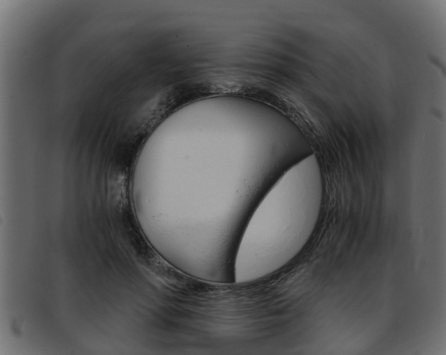 X0000093430598200710120919