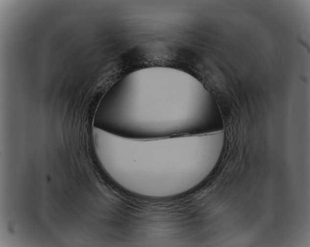X0000093430599200710120919