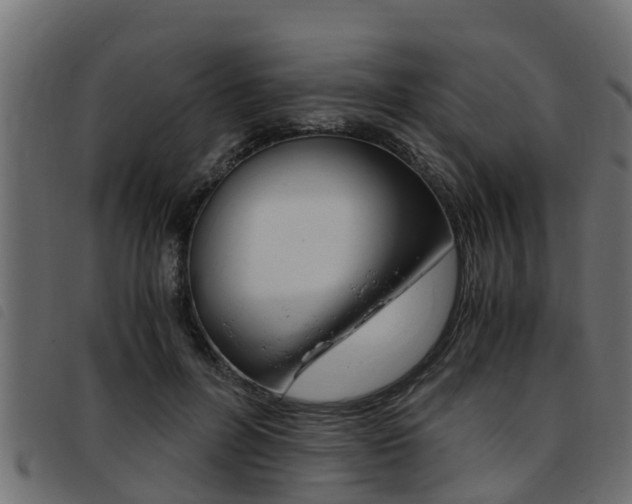 X0000093430600200710120919