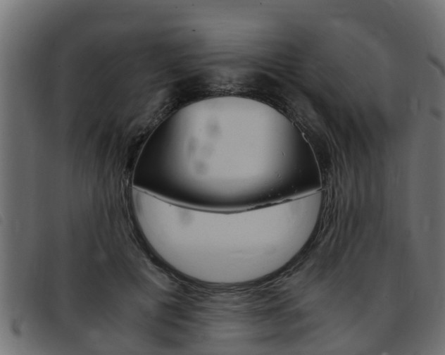 X0000093430601200710120919