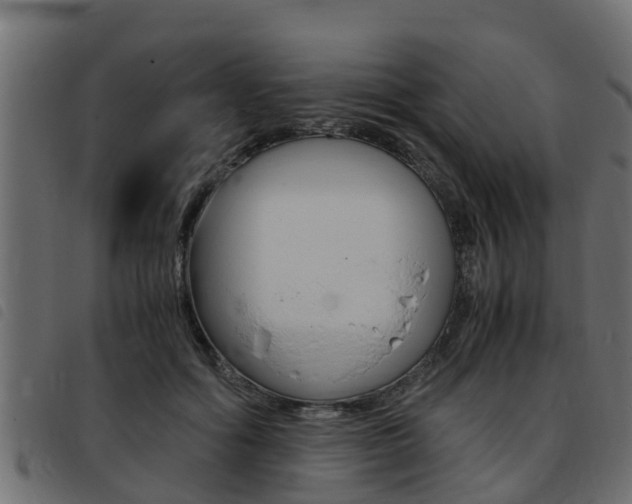 X0000093430602200710120919
