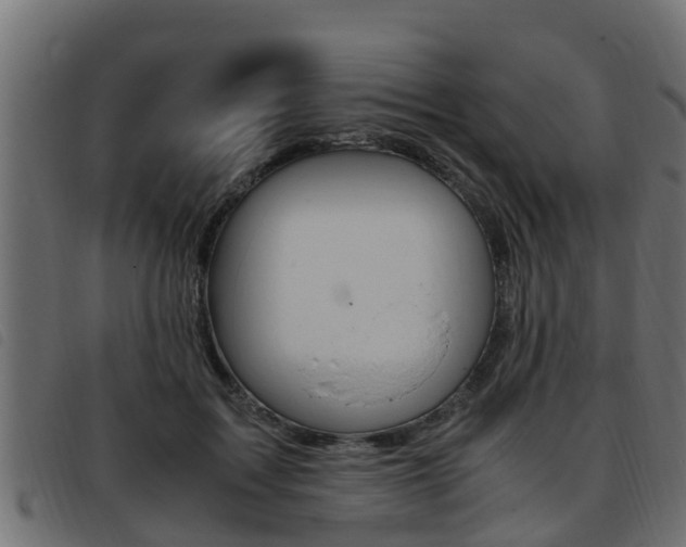X0000093430603200710120919