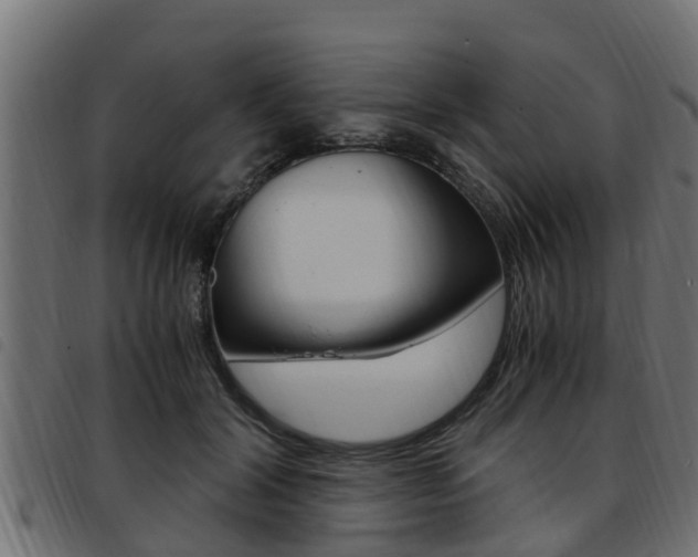 X0000093430604200710120919