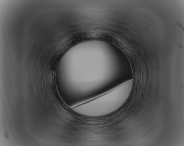 X0000093430605200710120919