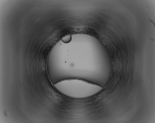 X0000093430606200710120919