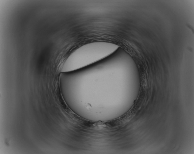 X0000093430607200710120919