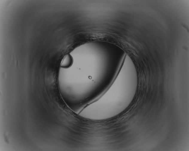 X0000093430608200710120919