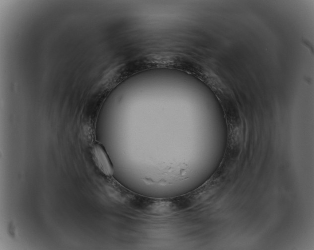 X0000093430609200710120919