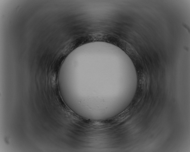X0000093430610200710120919