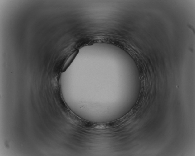 X0000093430611200710120919